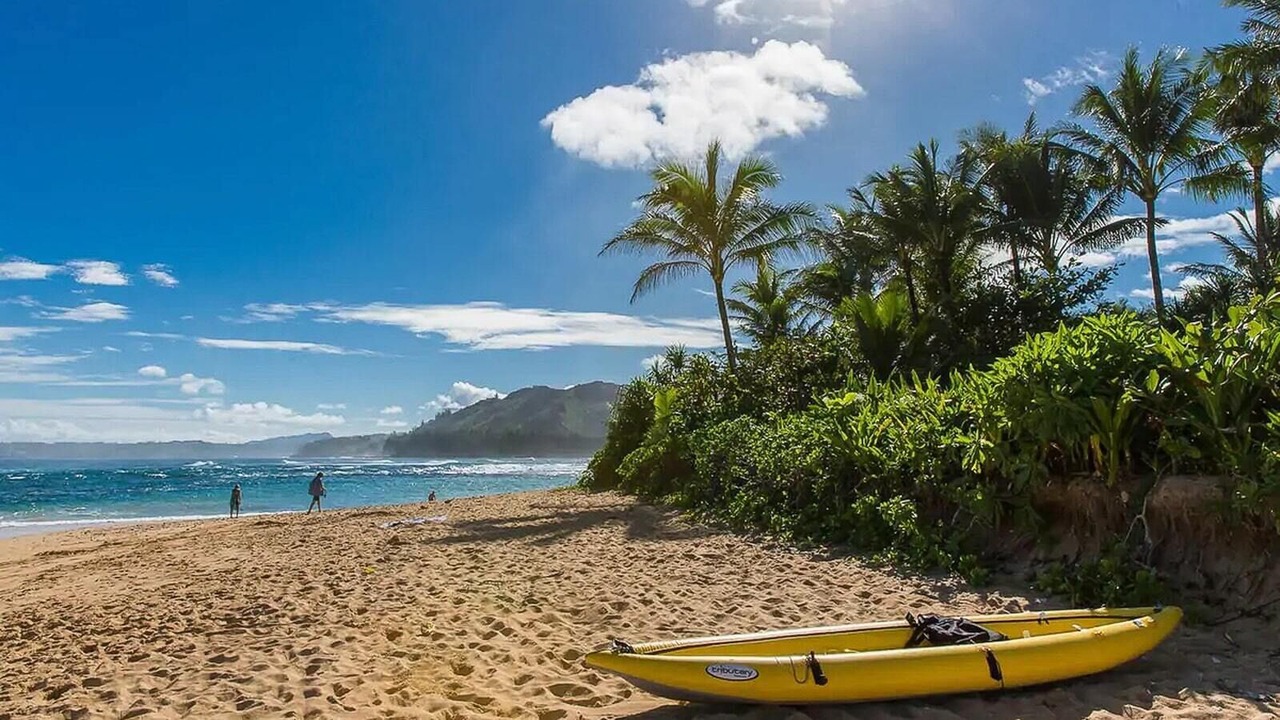Photo of Others in Wainiha