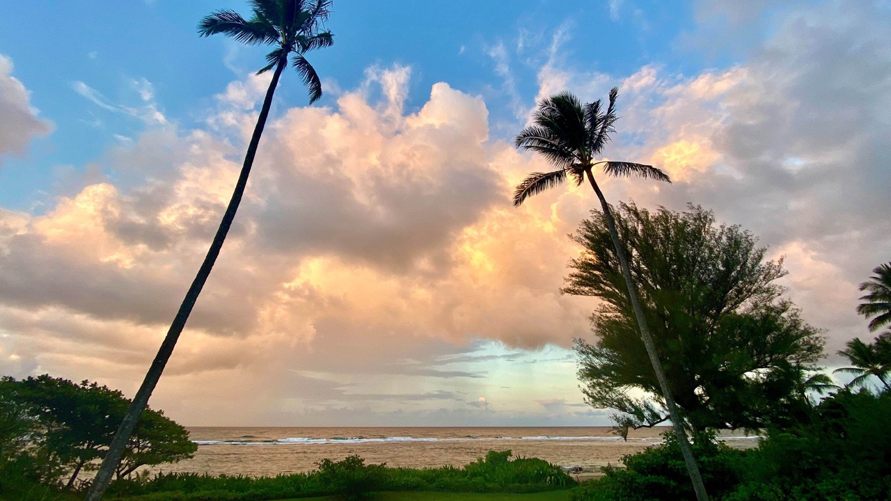 Photo of Others in Wainiha