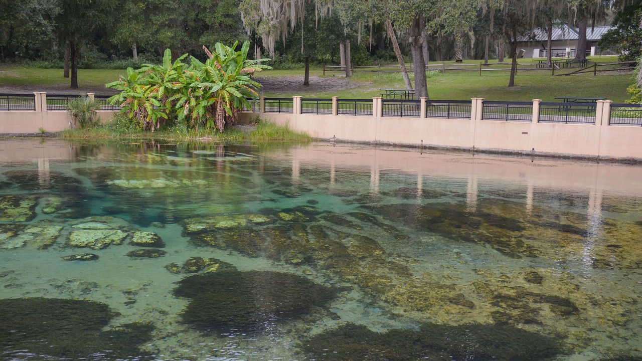 Photo of Others in Salt Springs