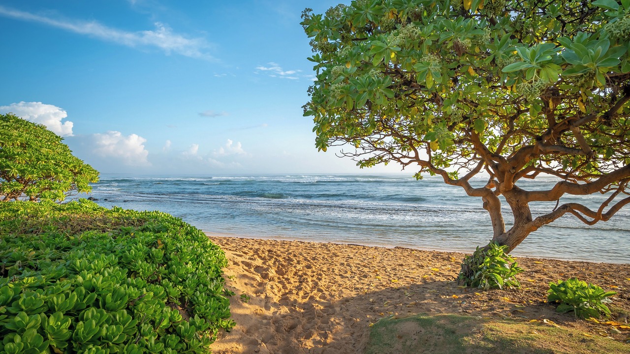 Photo of Others in Hanamaulu