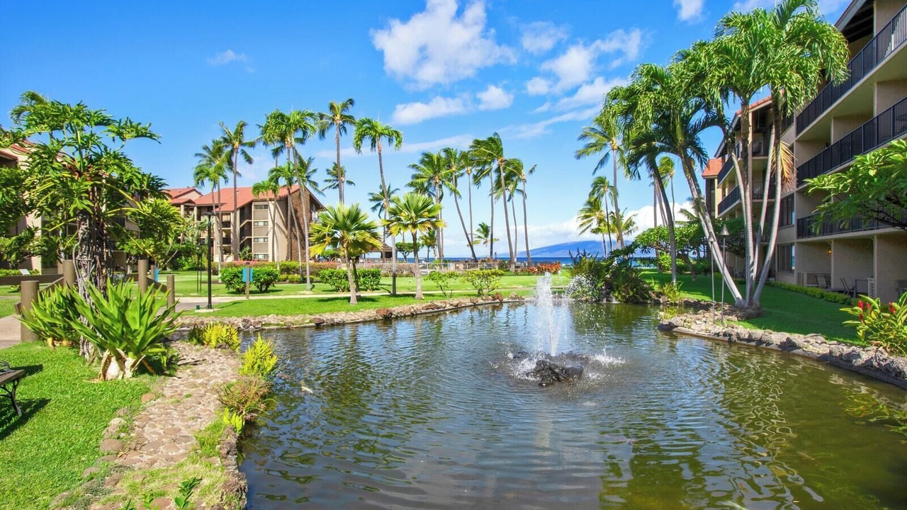 Photo of Outdoor in Kapalua
