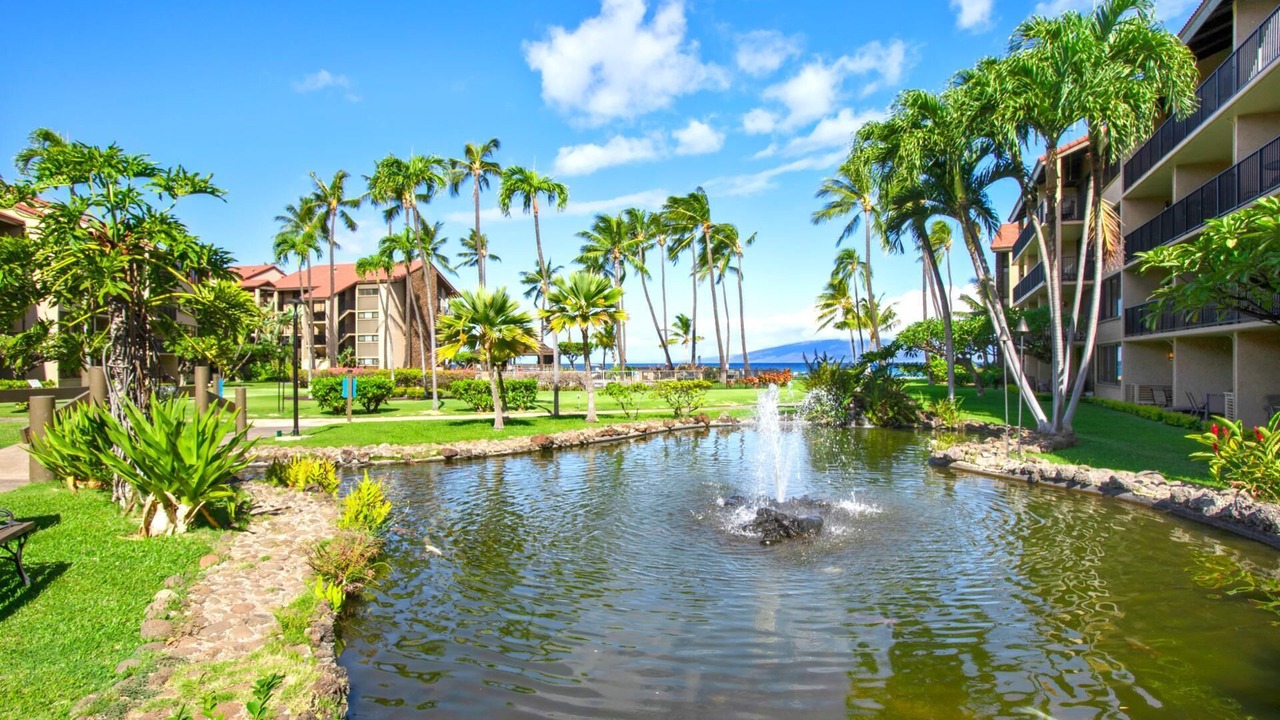 Photo of Outdoor in Kapalua