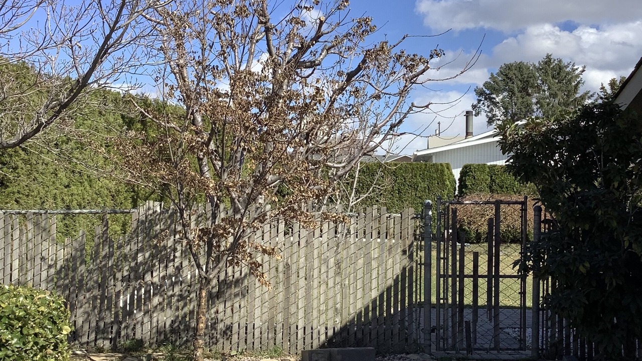 Photo of Others in Terrace Heights