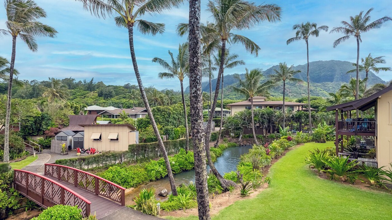 Photo of Outdoor in Wainiha