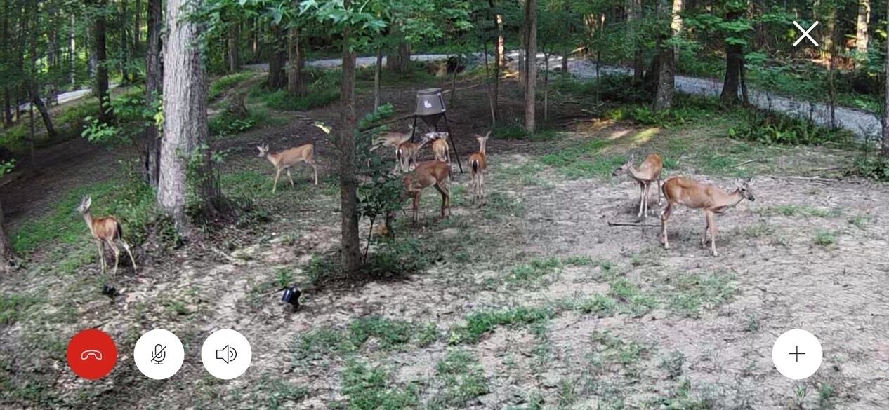 Photo of Outdoor in Fort Payne