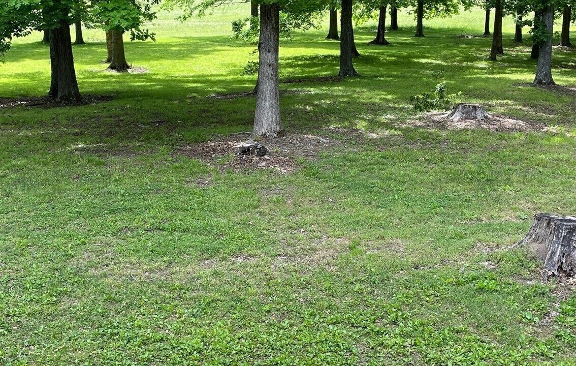 Photo of Outdoor in Dickel