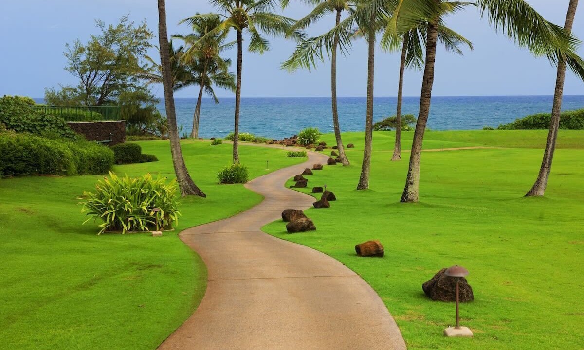 Photo of Others in Poipu