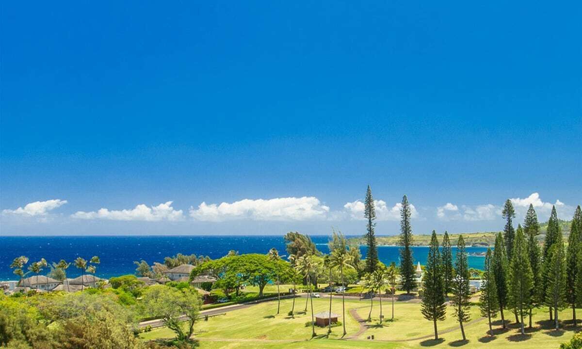 Photo of Others in Kapalua