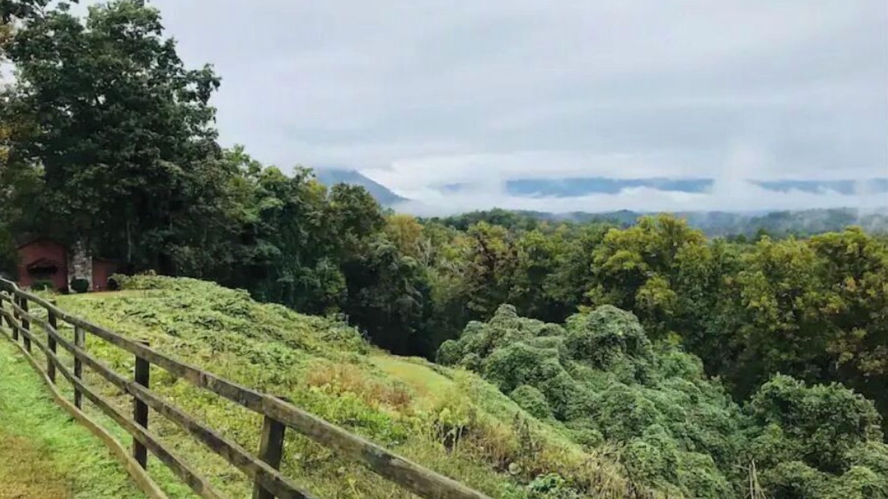 Photo of Others in Bryson City