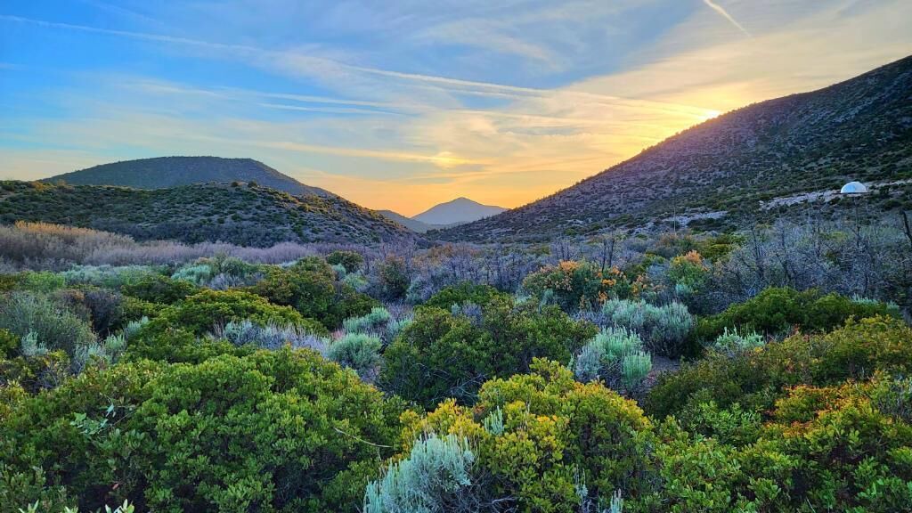Photo of Others in Mount Charleston
