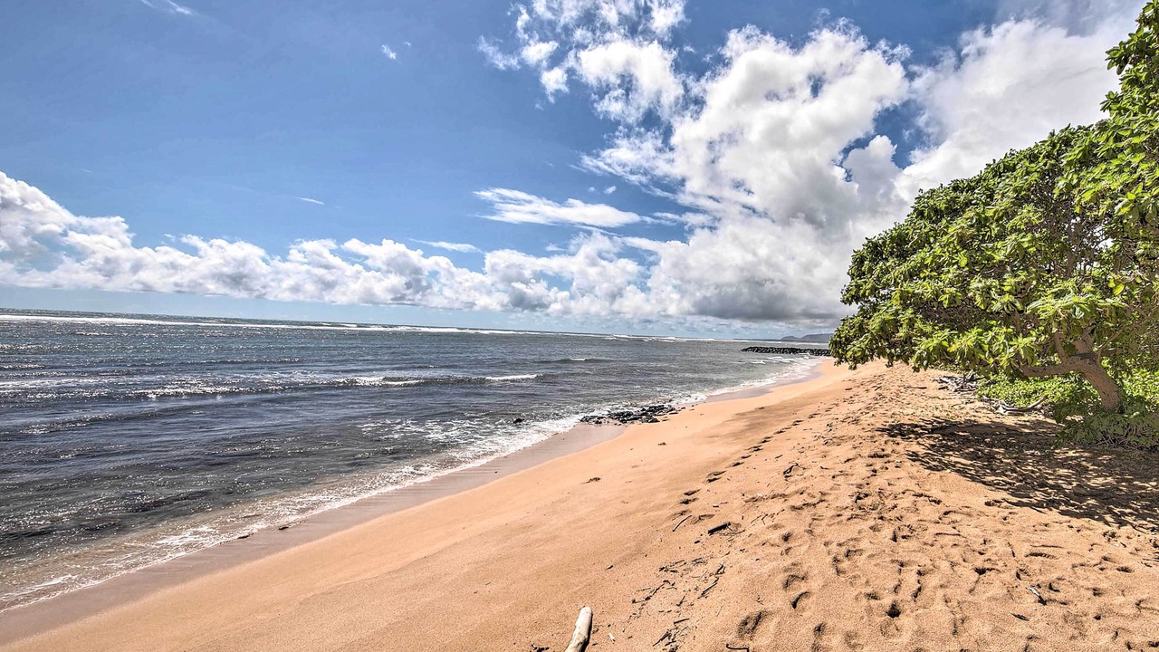 Photo of Others in Wailua
