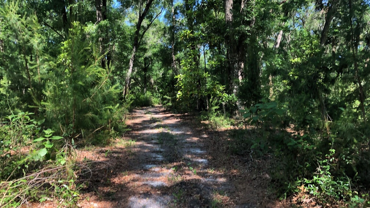 Photo of Outdoor in Crescent City