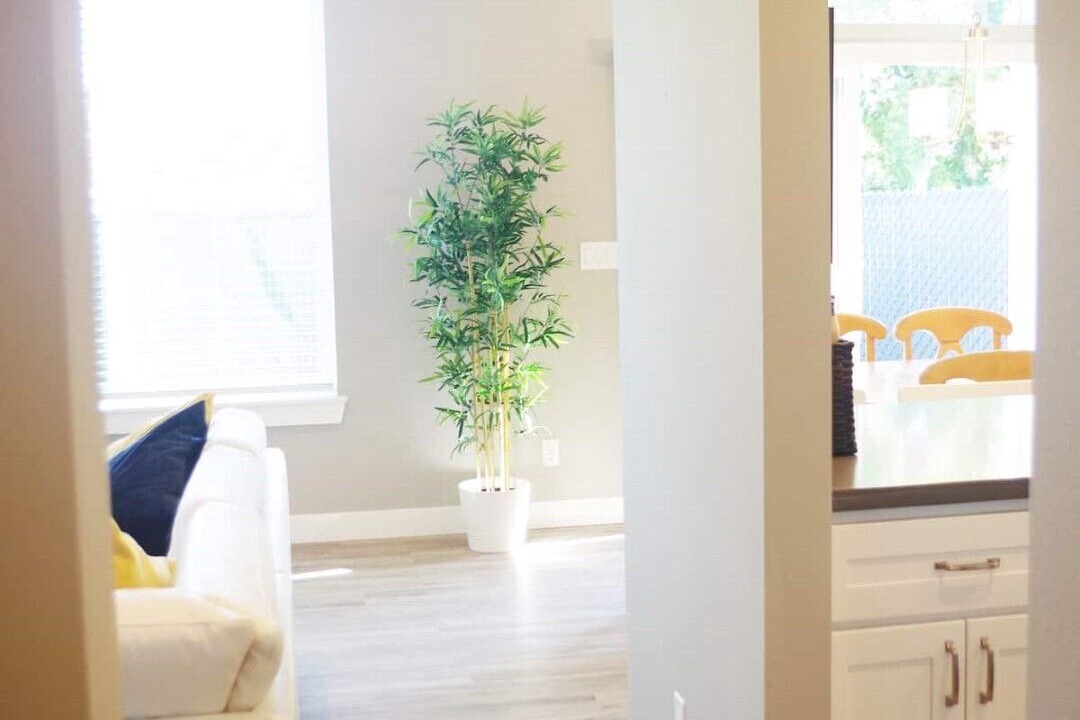 Photo of Livingroom in Parkland