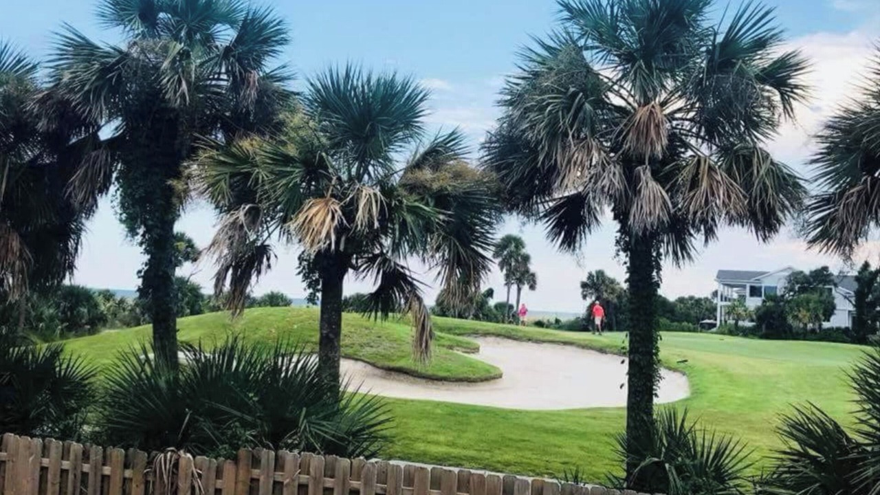 Photo of Others in Palmetto Dunes