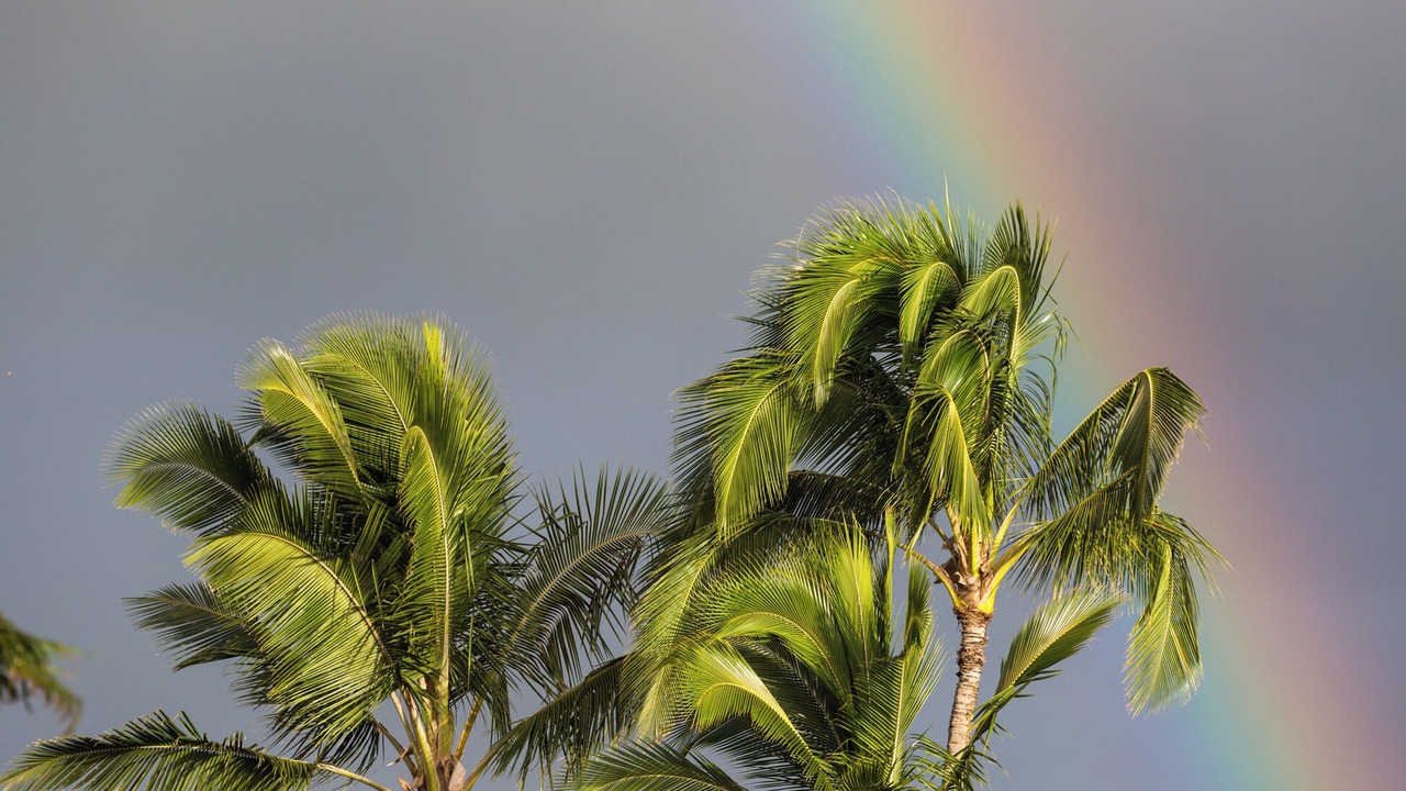 Photo of Others in Wainiha