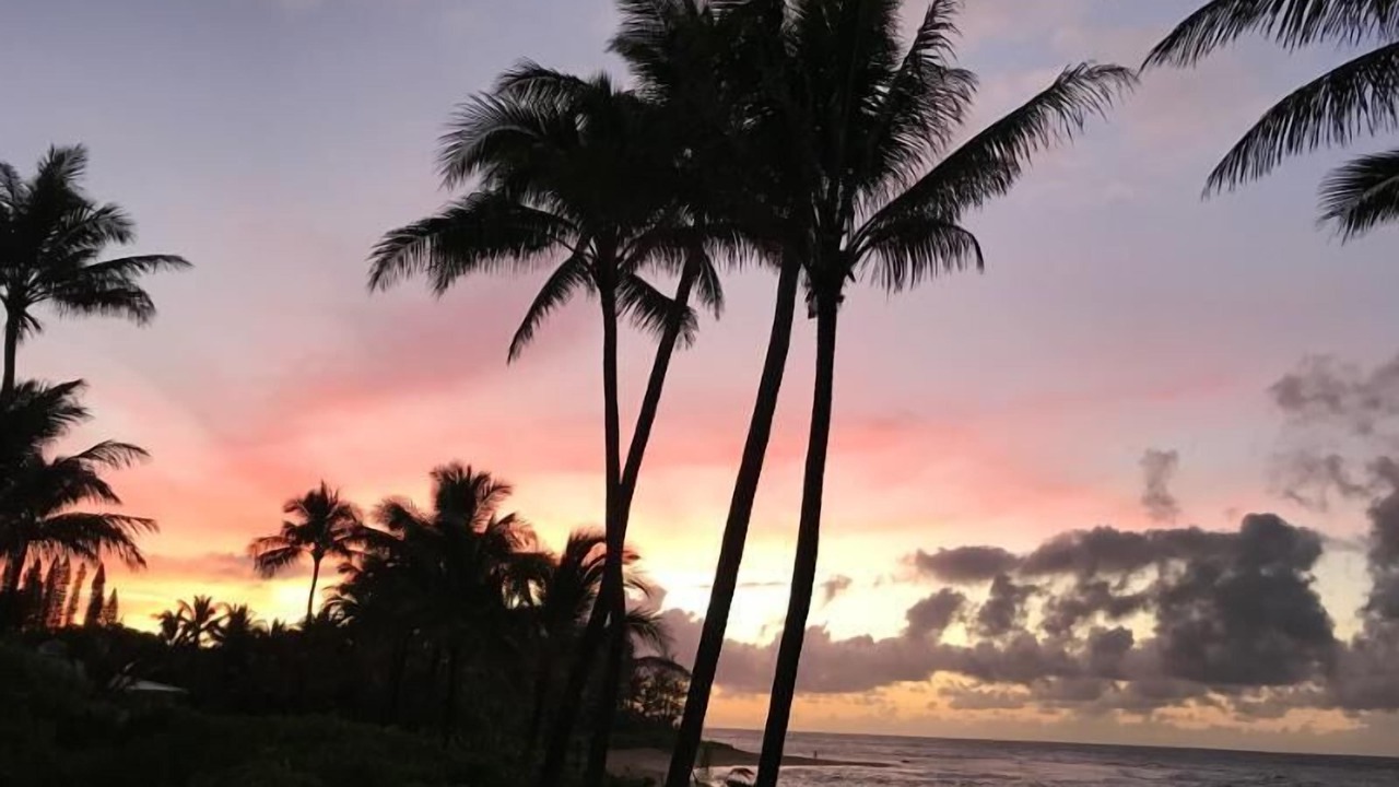 Photo of Others in Wainiha