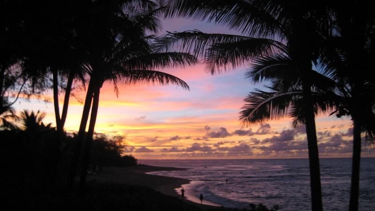Photo of Others in Wainiha