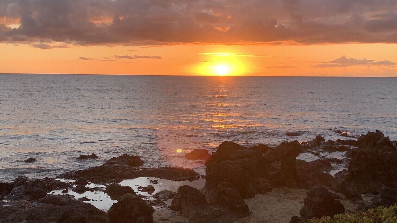 Photo of Others in Kihei