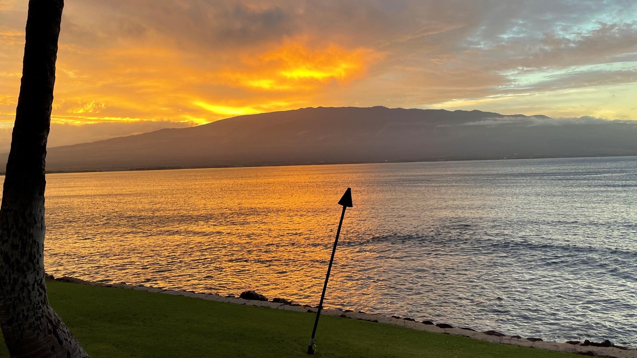 Photo of Others in Maalaea
