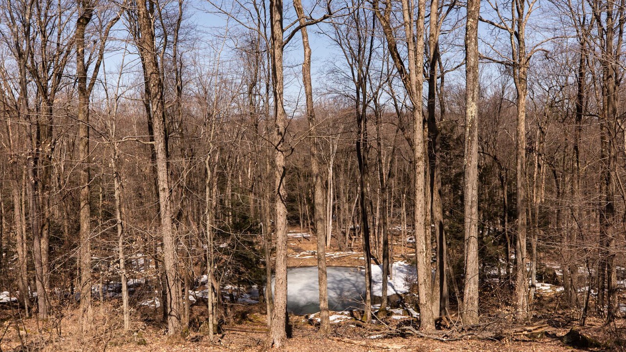 Photo of Outdoor in Russell