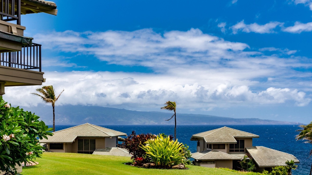 Photo of Others in Napili