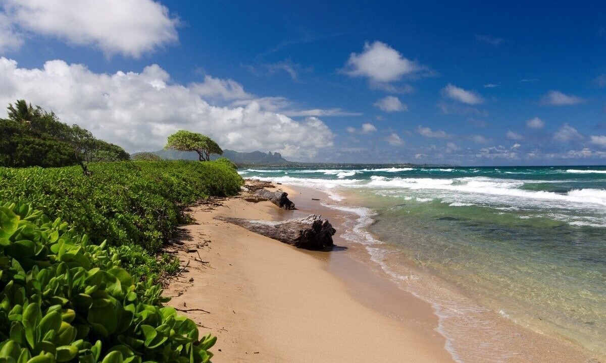 Photo of Others in Hanamaulu