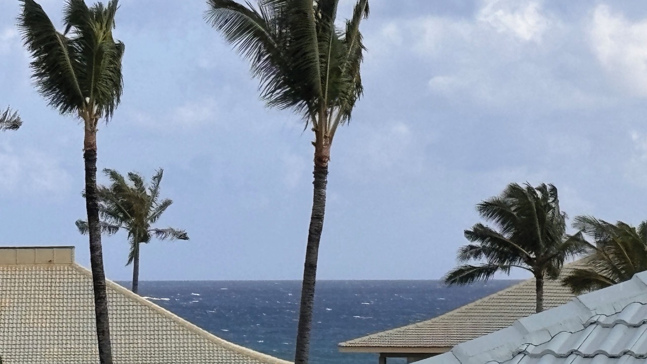 Photo of Others in Hanamaulu