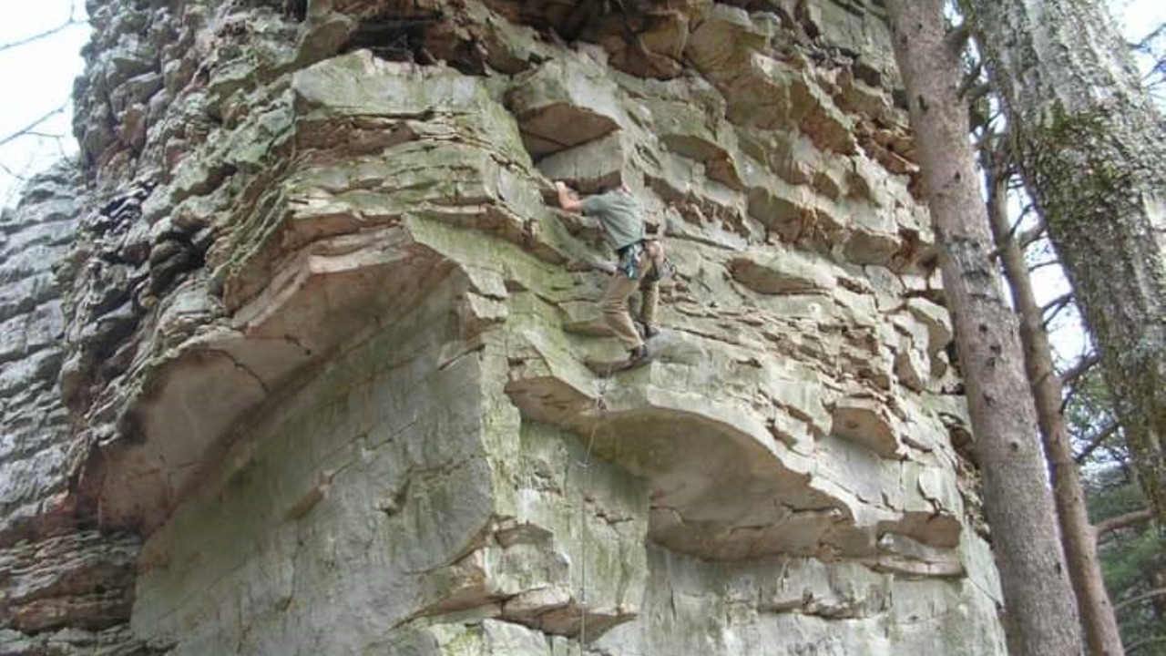 Photo of Others in Cedar Bluff