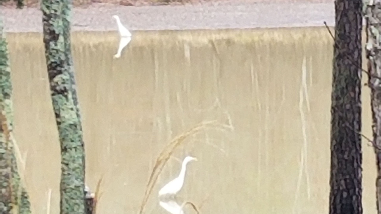 Photo of Others in Cedar Bluff