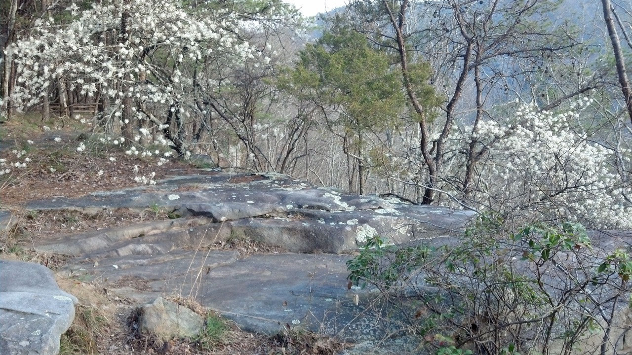 Photo of Outdoor in Cedar Bluff