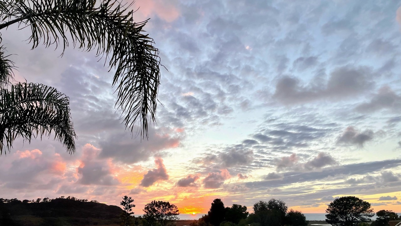 Photo of Others in Del Mar Heights