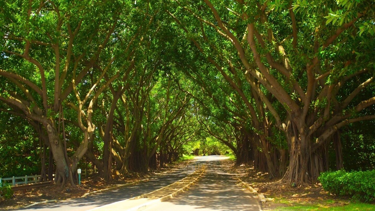 Photo of Outdoor in Hanamaulu