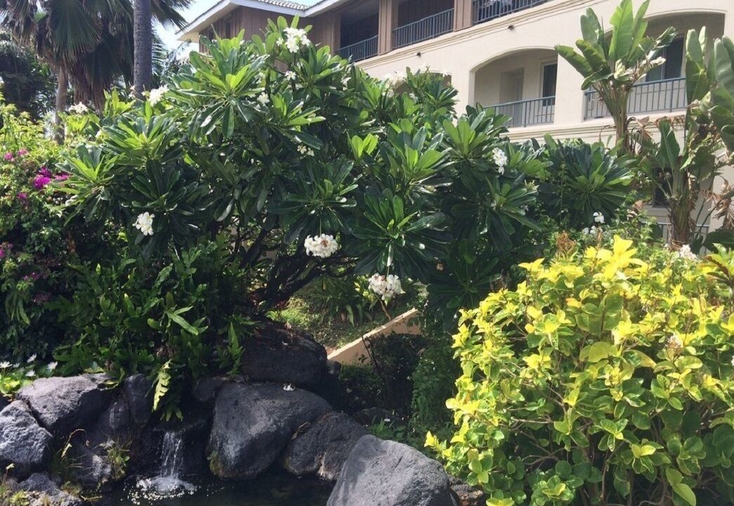 Photo of Outdoor in Bayview