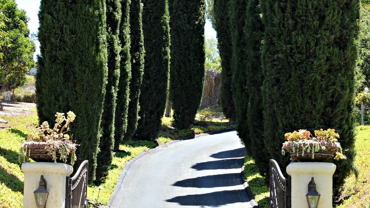 Photo of Others in Rancho Santa Fe