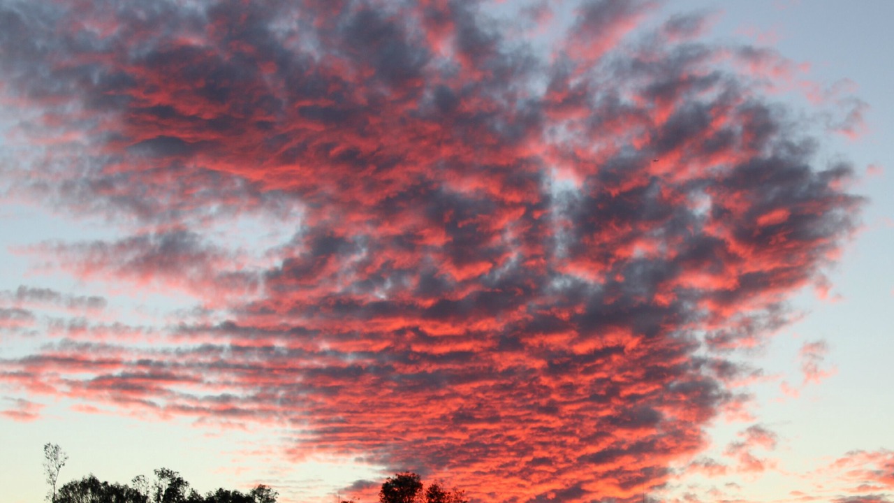 Photo of Others in Rancho Santa Fe