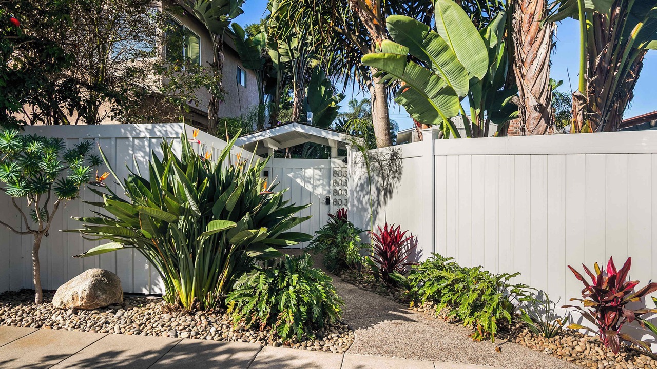 Photo of Outdoor in La Jolla Shores