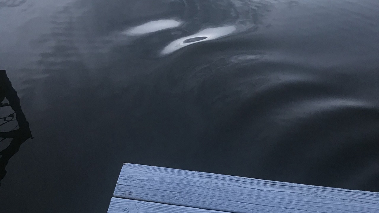 Photo of Others in Crescent City