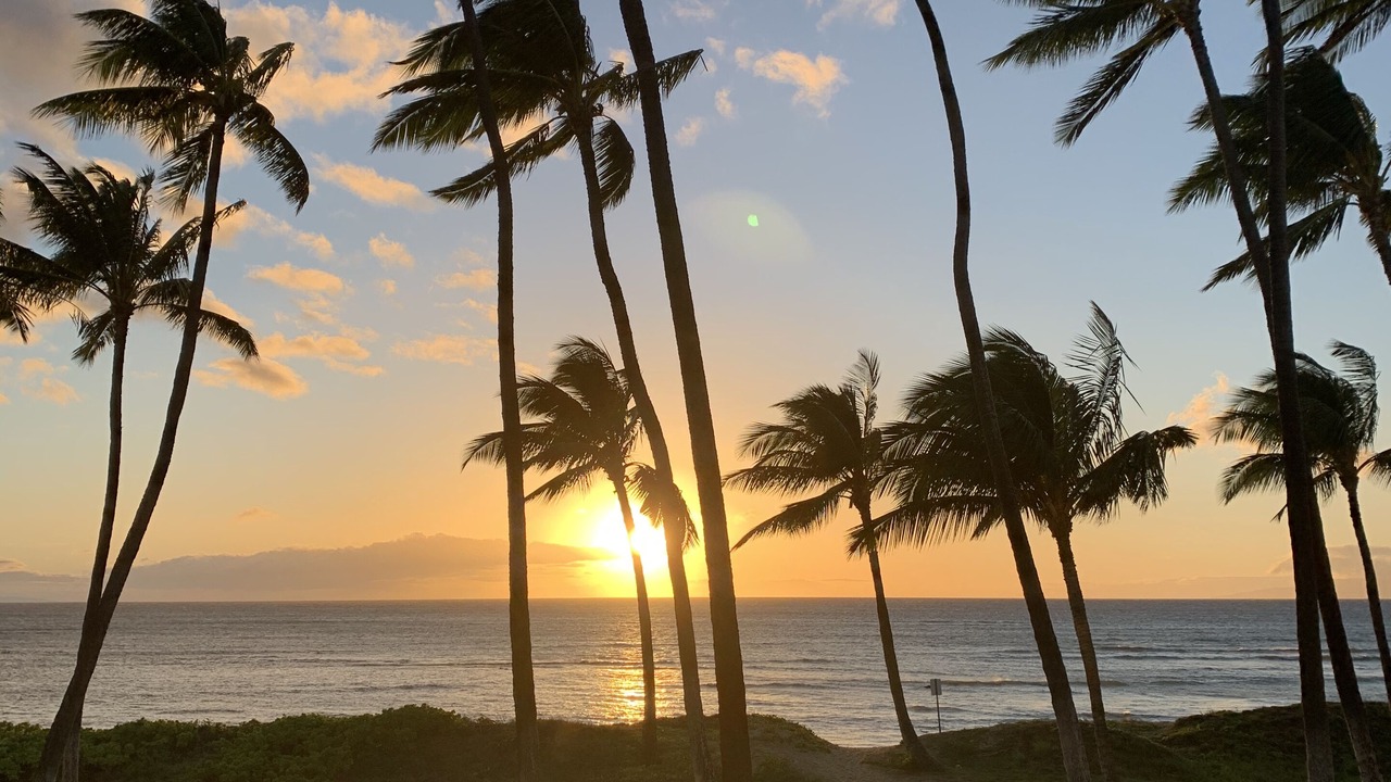 Photo of Others in Kihei