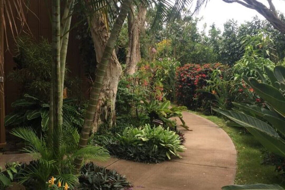 Photo of Outdoor in Maunaloa