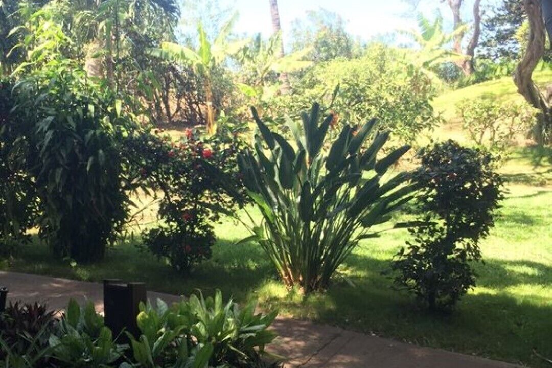 Photo of Outdoor in Maunaloa