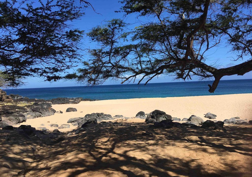 Photo of Others in Maunaloa