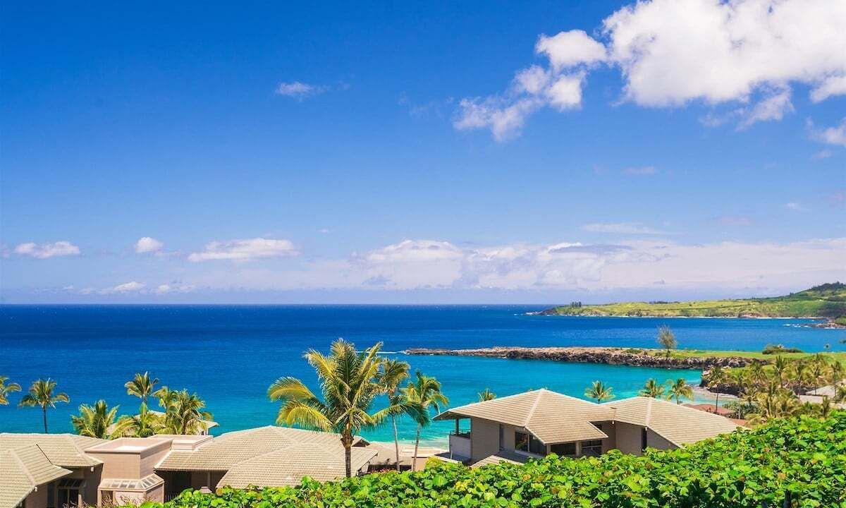 Photo of Others in Kapalua