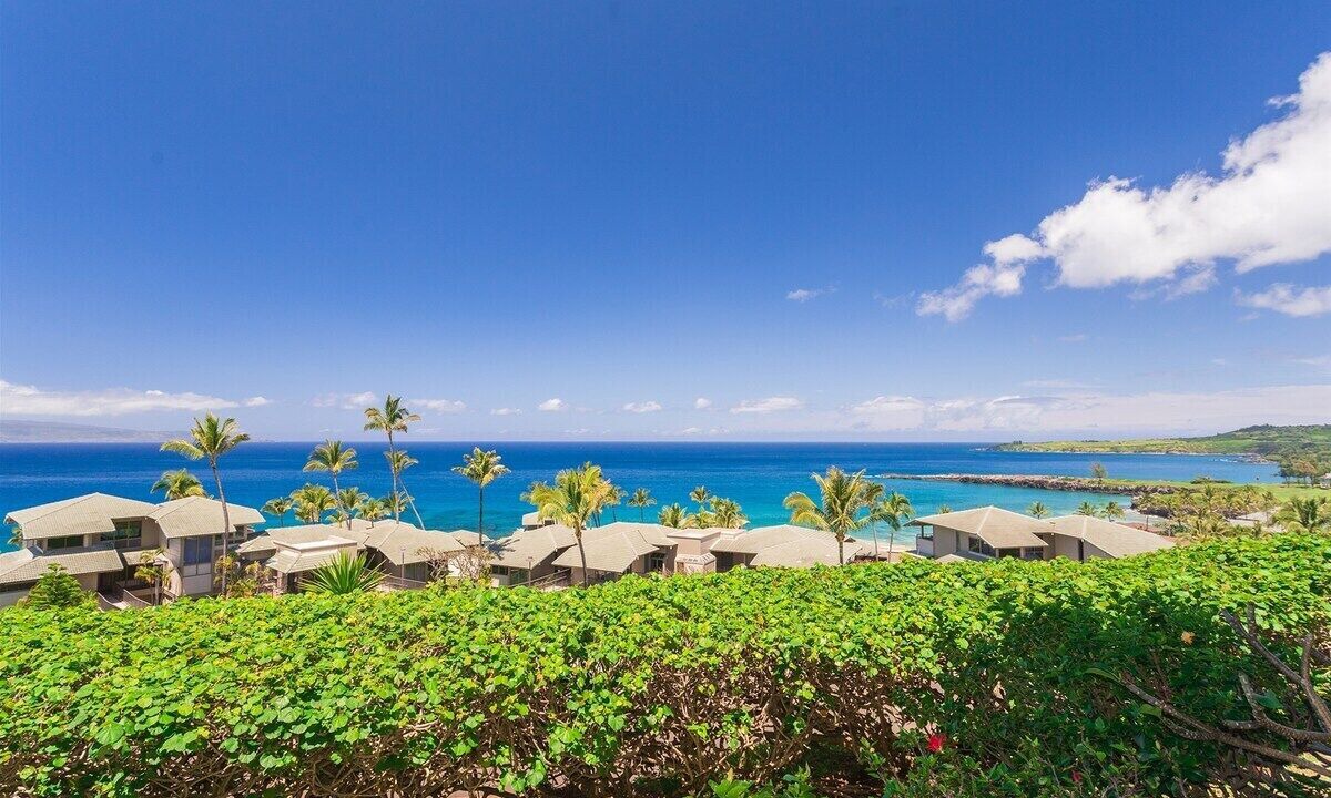 Photo of Others in Kapalua