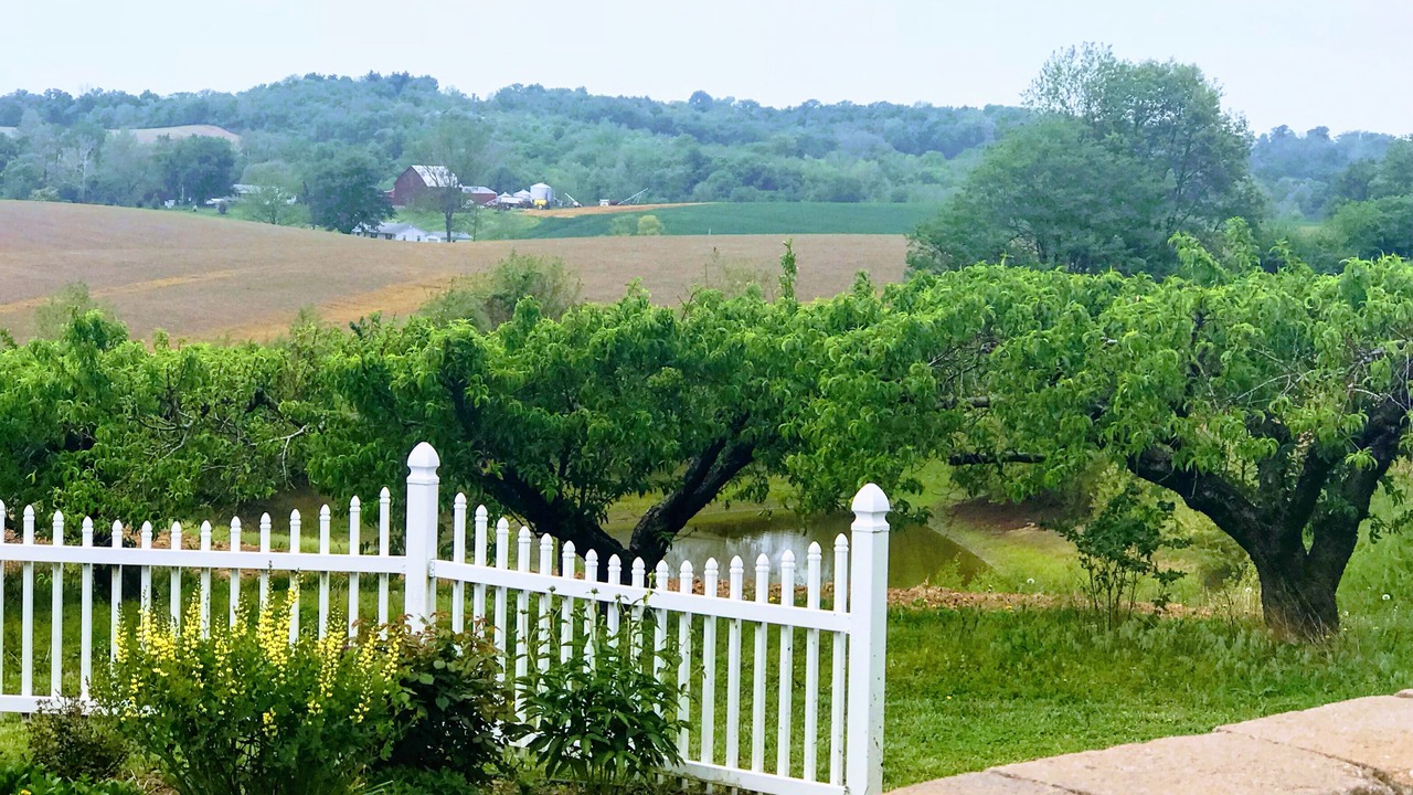 Photo of Others in Calhoun County