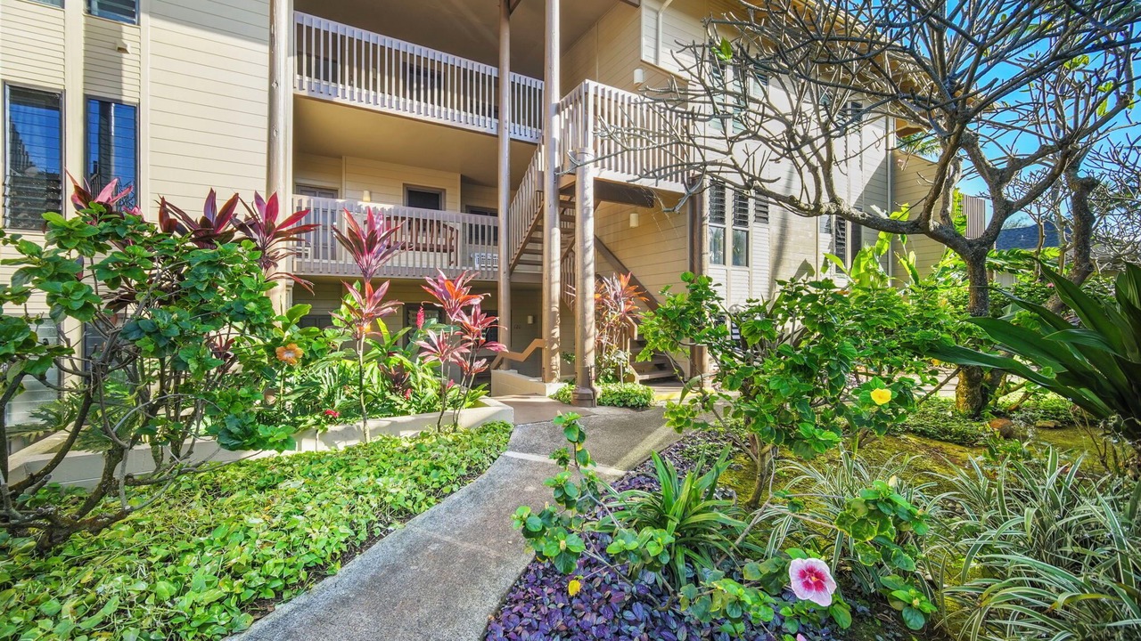 Photo of Outdoor in Lihue