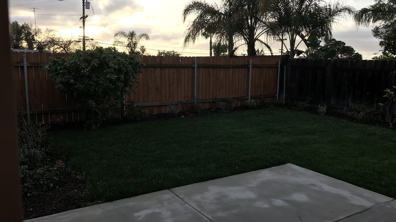 Photo of Outdoor in Allied Gardens