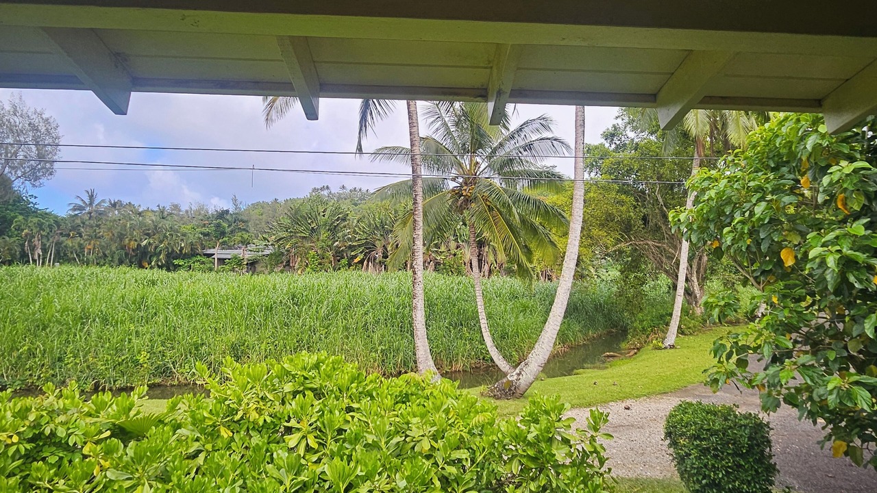 Photo of Outdoor in Kilauea