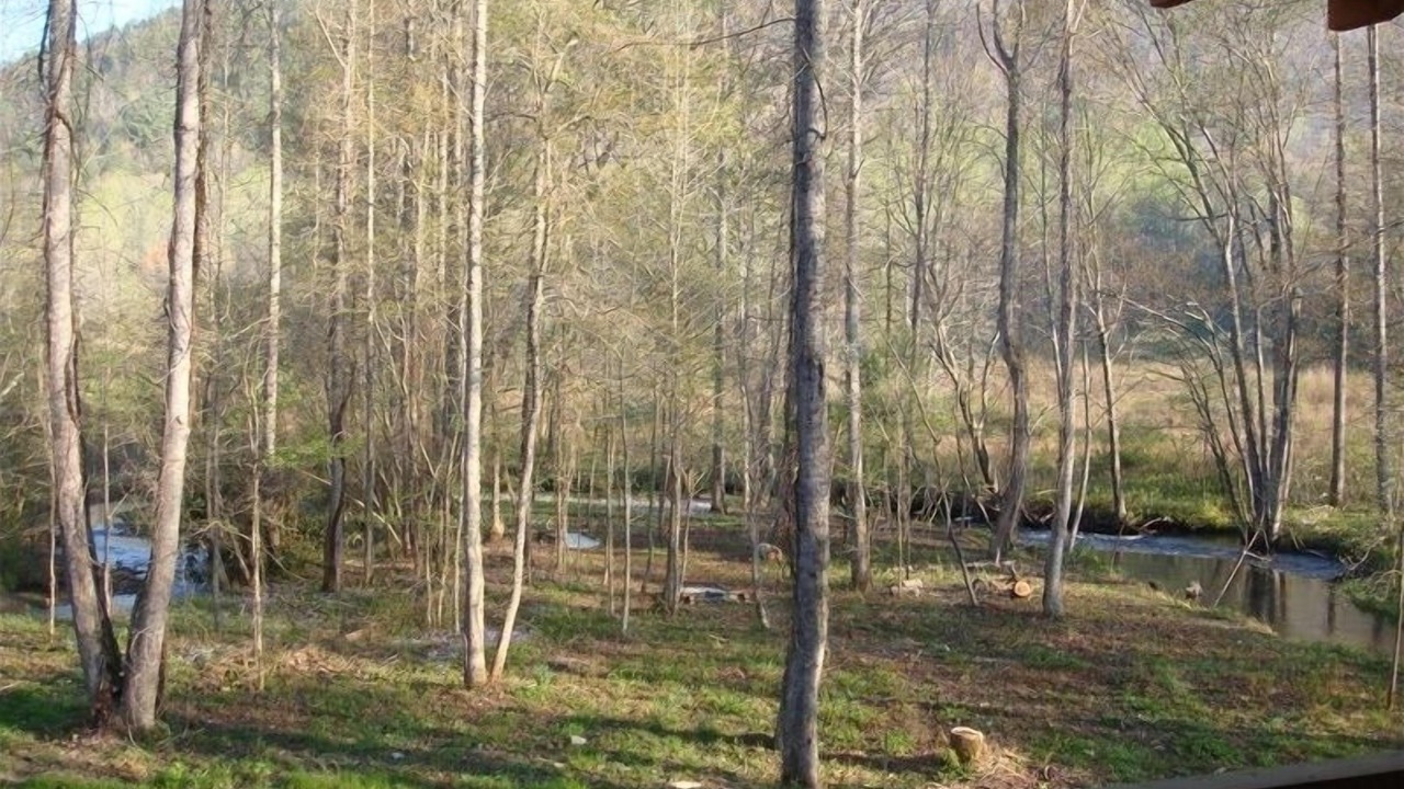 Photo of Outdoor in Robbinsville