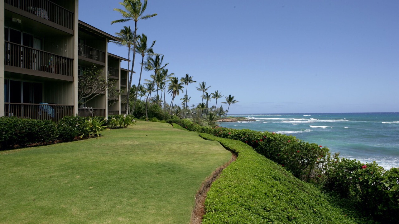 Photo of Others in Wailua