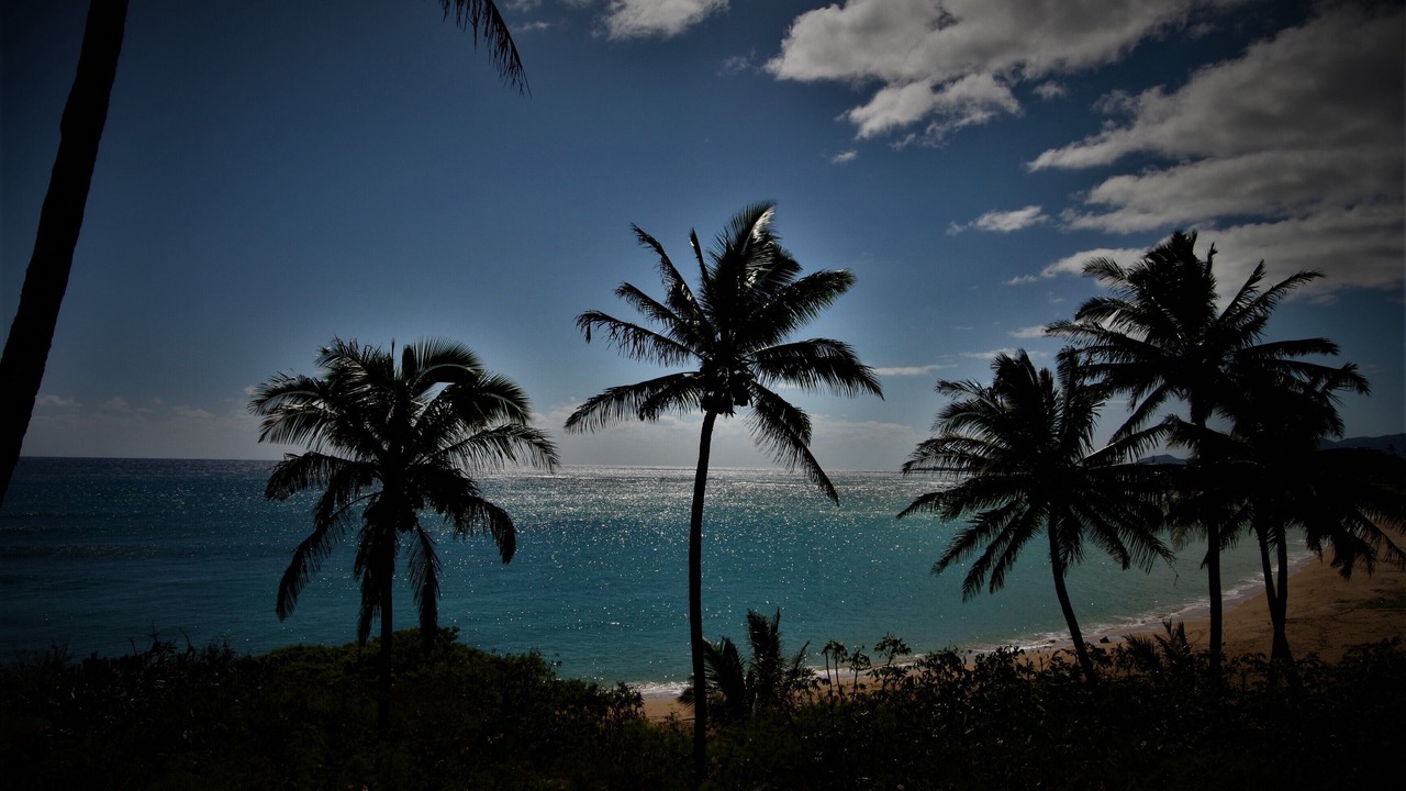 Photo of Others in Wailua